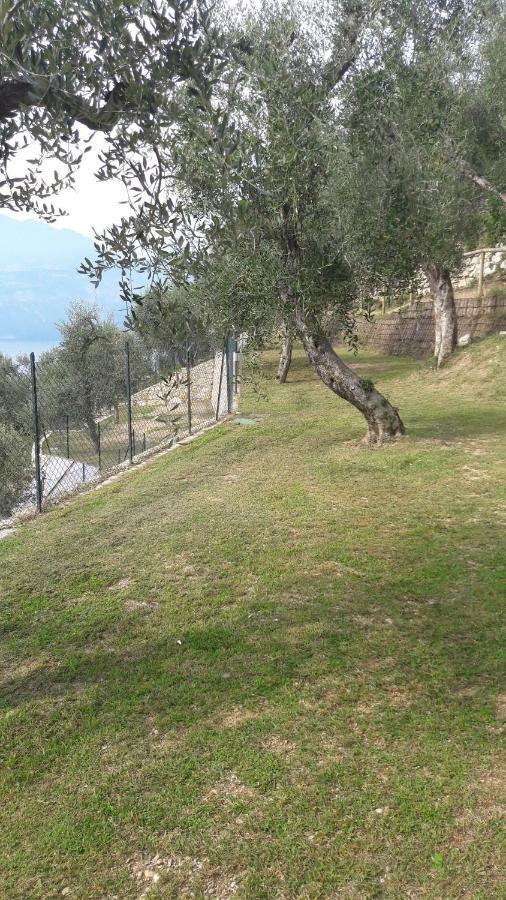 Agricampeggio Relax Brenzone sul Garda Exterior photo